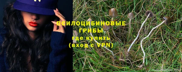бошки Алексин