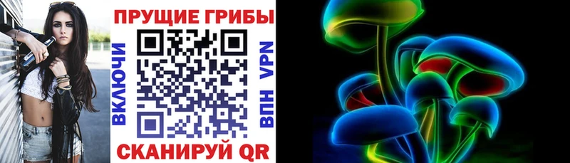 Галлюциногенные грибы MAGIC MUSHROOMS  где купить наркоту  Егорьевск 